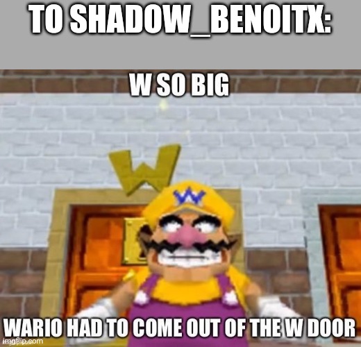 W so big Wario | TO SHADOW_BENOITX: | image tagged in w so big wario | made w/ Imgflip meme maker