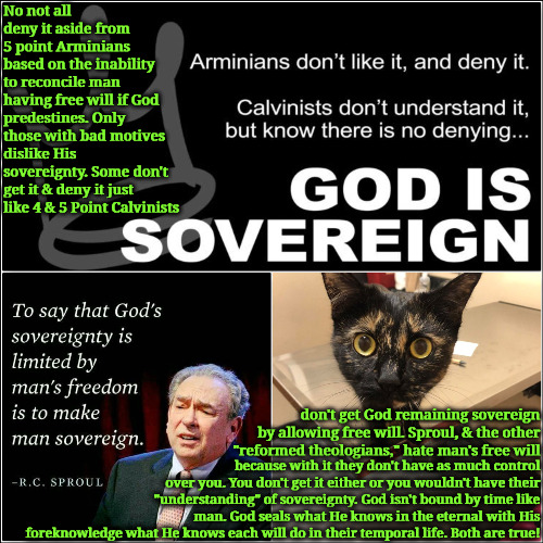 Royal Hypocrisy | No not all deny it aside from 5 point Arminians based on the inability to reconcile man having free will if God predestines. Only those with bad motives dislike His sovereignty. Some don't get it & deny it just like 4 & 5 Point Calvinists; don't get God remaining sovereign by allowing free will. Sproul, & the other "reformed theologians," hate man's free will; because with it they don't have as much control over you. You don't get it either or you wouldn't have their "understanding" of sovereignty. God isn't bound by time like man. God seals what He knows in the eternal with His foreknowledge what He knows each will do in their temporal life. Both are true! | image tagged in royal crap,calvinism,calvinist memes,reformed theology,heretics,wake up | made w/ Imgflip meme maker