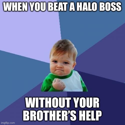 Memes | WHEN YOU BEAT A HALO BOSS; WITHOUT YOUR BROTHER’S HELP | image tagged in memes,success kid | made w/ Imgflip meme maker