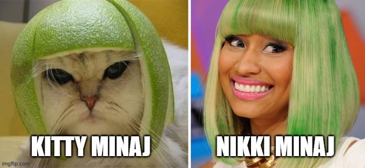 memes by Brad - Kitty Minaj and Nikki  Minaj - humor | KITTY MINAJ               NIKKI MINAJ | image tagged in funny,cats,cute kitten,funny cat memes,kittens,humor | made w/ Imgflip meme maker