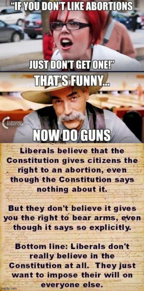 Bottom line... liberals hate the Constitution | image tagged in liberals,hate,us constitution | made w/ Imgflip meme maker