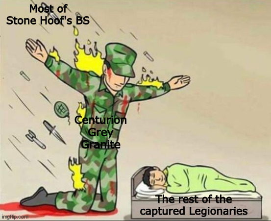 TCP Meme #10 | Most of Stone Hoof's BS; Centurion Grey Granite; The rest of the captured Legionaries | image tagged in soldier protecting sleeping child,mlp fim,mlp,fanfiction | made w/ Imgflip meme maker