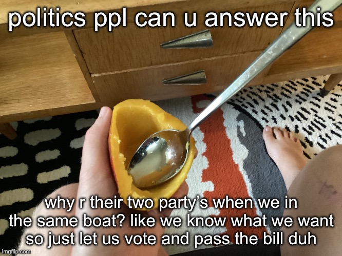 IcyXD FEET!!! v5 | politics ppl can u answer this; why r their two party’s when we in the same boat? like we know what we want so just let us vote and pass the bill duh | image tagged in icyxd feet v5 | made w/ Imgflip meme maker