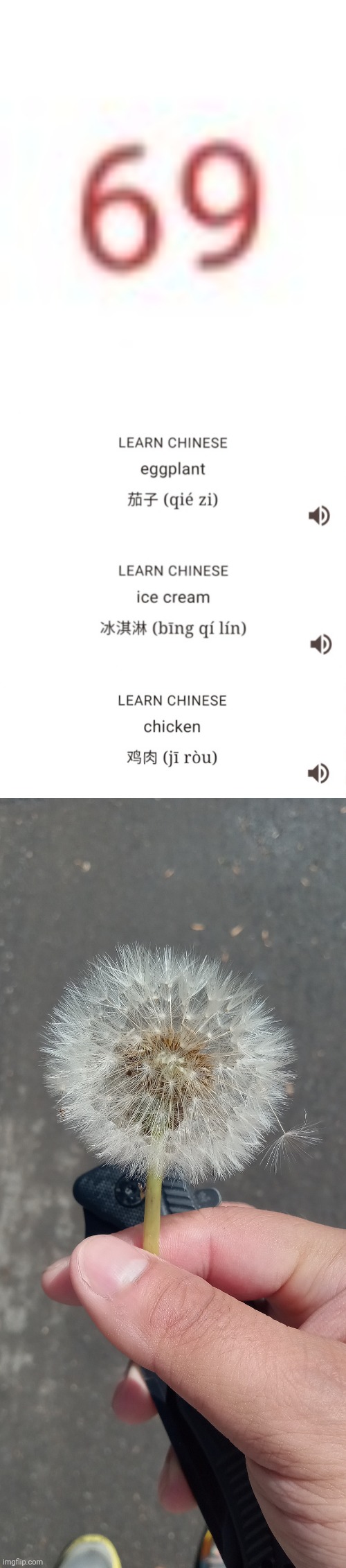 image tagged in 69,chinese ice cream,chinese chicken,wish flower | made w/ Imgflip meme maker