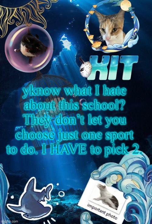 silly announcement template by asriel | yknow what I hate about this school? They don’t let you choose just one sport to do. I HAVE to pick 2. | image tagged in silly announcement template by asriel | made w/ Imgflip meme maker