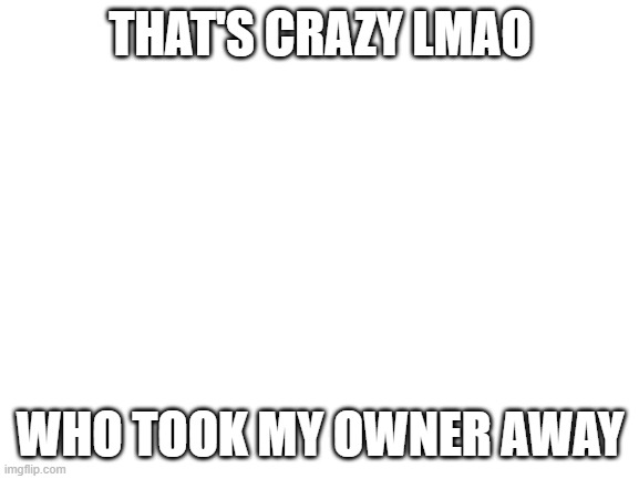 Blank White Template | THAT'S CRAZY LMAO; WHO TOOK MY OWNER AWAY | image tagged in blank white template | made w/ Imgflip meme maker