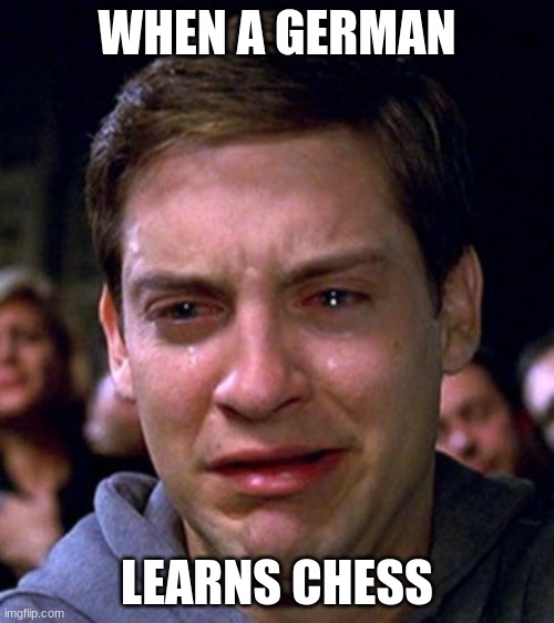 Once they learn how the knight piece move, you can do nothing to cheer them up. | WHEN A GERMAN; LEARNS CHESS | image tagged in crying peter parker | made w/ Imgflip meme maker