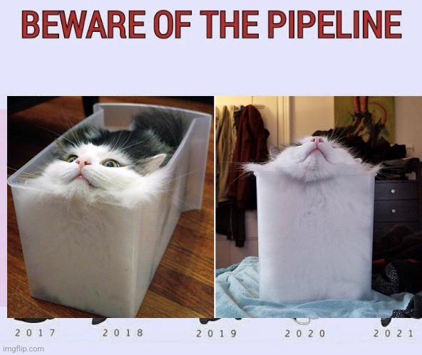 Beware of the pipeline | image tagged in beware of the pipeline | made w/ Imgflip meme maker