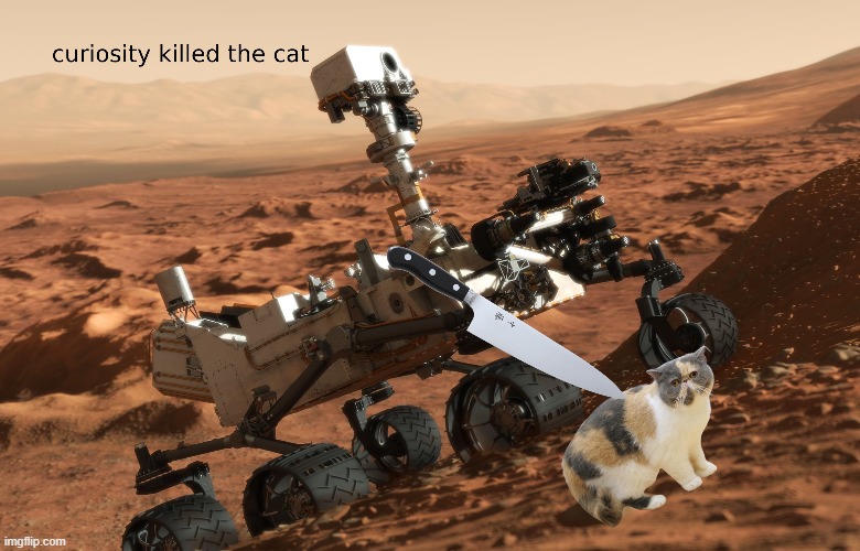 cat | image tagged in pun,cat,mars rover | made w/ Imgflip meme maker