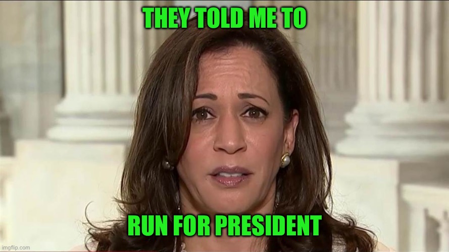 kamala harris | THEY TOLD ME TO RUN FOR PRESIDENT | image tagged in kamala harris | made w/ Imgflip meme maker