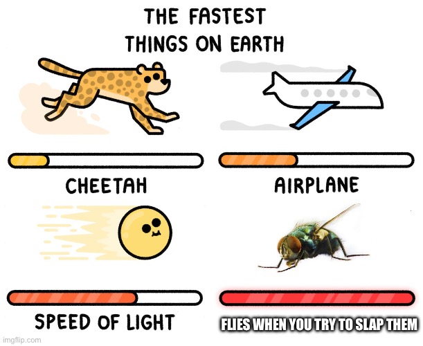 Seriously tho | FLIES WHEN YOU TRY TO SLAP THEM | image tagged in fastest thing on earth | made w/ Imgflip meme maker