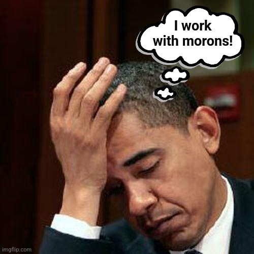 Obama Facepalm 250px | I work
with morons! | image tagged in obama facepalm 250px | made w/ Imgflip meme maker