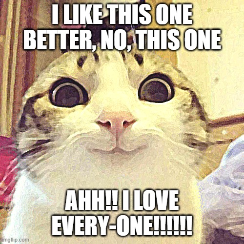 pure indecision | I LIKE THIS ONE BETTER, NO, THIS ONE; AHH!! I LOVE EVERY-ONE!!!!!! | image tagged in memes,smiling cat | made w/ Imgflip meme maker