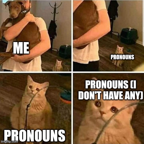 Don't Ask Why. | ME; PRONOUNS; PRONOUNS (I DON'T HAVE ANY); PRONOUNS | image tagged in sad cat holding dog,pronouns,if you read this tag you are cursed,stop reading these tags,cats | made w/ Imgflip meme maker