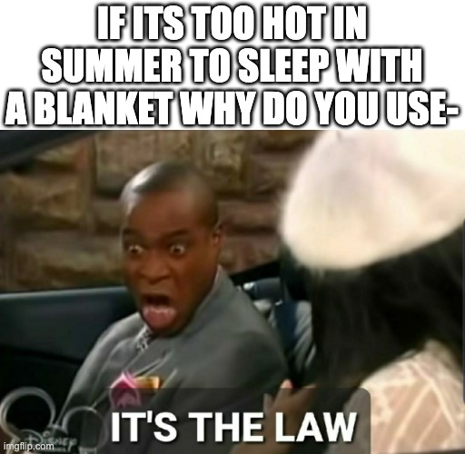 U need it!! | IF ITS TOO HOT IN SUMMER TO SLEEP WITH A BLANKET WHY DO YOU USE- | image tagged in it's the law,memes,summer,blanket,sleep | made w/ Imgflip meme maker