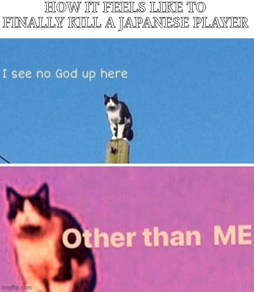 Hail pole cat | HOW IT FEELS LIKE TO FINALLY KILL A JAPANESE PLAYER | image tagged in hail pole cat | made w/ Imgflip meme maker