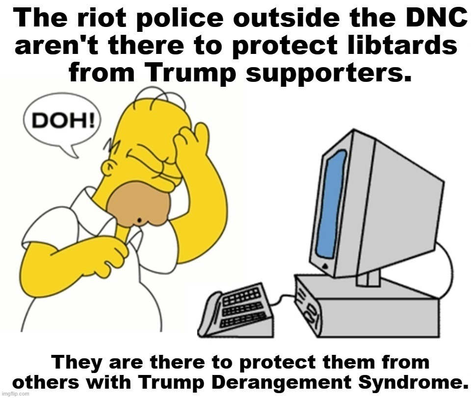 Wrap your head around this one. D'Oh! | image tagged in d'oh,homer simpson,woohoo homer simpson,woohoo,trump derangement syndrome,special kind of stupid | made w/ Imgflip meme maker