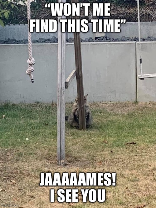Hide and Seek | “WON’T ME FIND THIS TIME”; JAAAAAMES! I SEE YOU | image tagged in james m coon | made w/ Imgflip meme maker