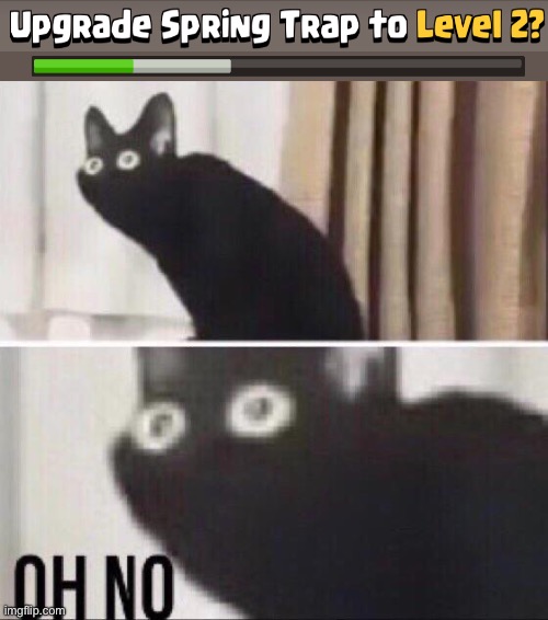 He is entering lvl 2 Oh no | image tagged in oh no cat | made w/ Imgflip meme maker