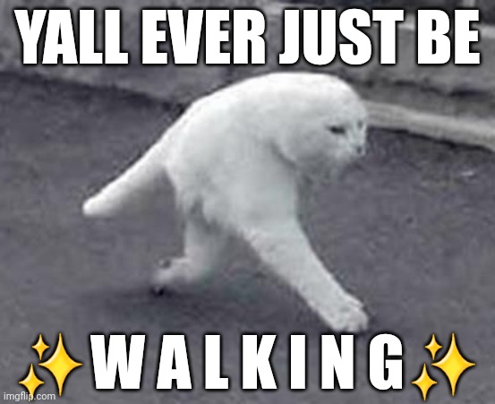 Majestic | YALL EVER JUST BE; ✨️W A L K I N G✨️ | image tagged in walking white cat | made w/ Imgflip meme maker