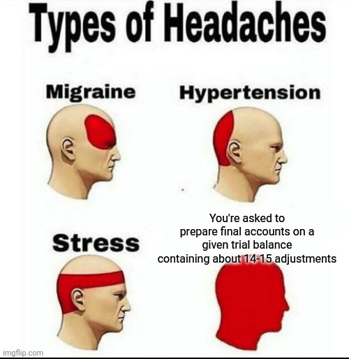 Final Accounts | You're asked to prepare final accounts on a given trial balance containing about 14-15 adjustments | image tagged in types of headaches meme | made w/ Imgflip meme maker