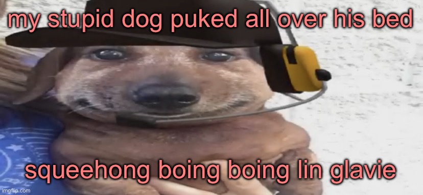 chucklenuts | my stupid dog puked all over his bed; squeehong boing boing lin glavie | image tagged in chucklenuts | made w/ Imgflip meme maker