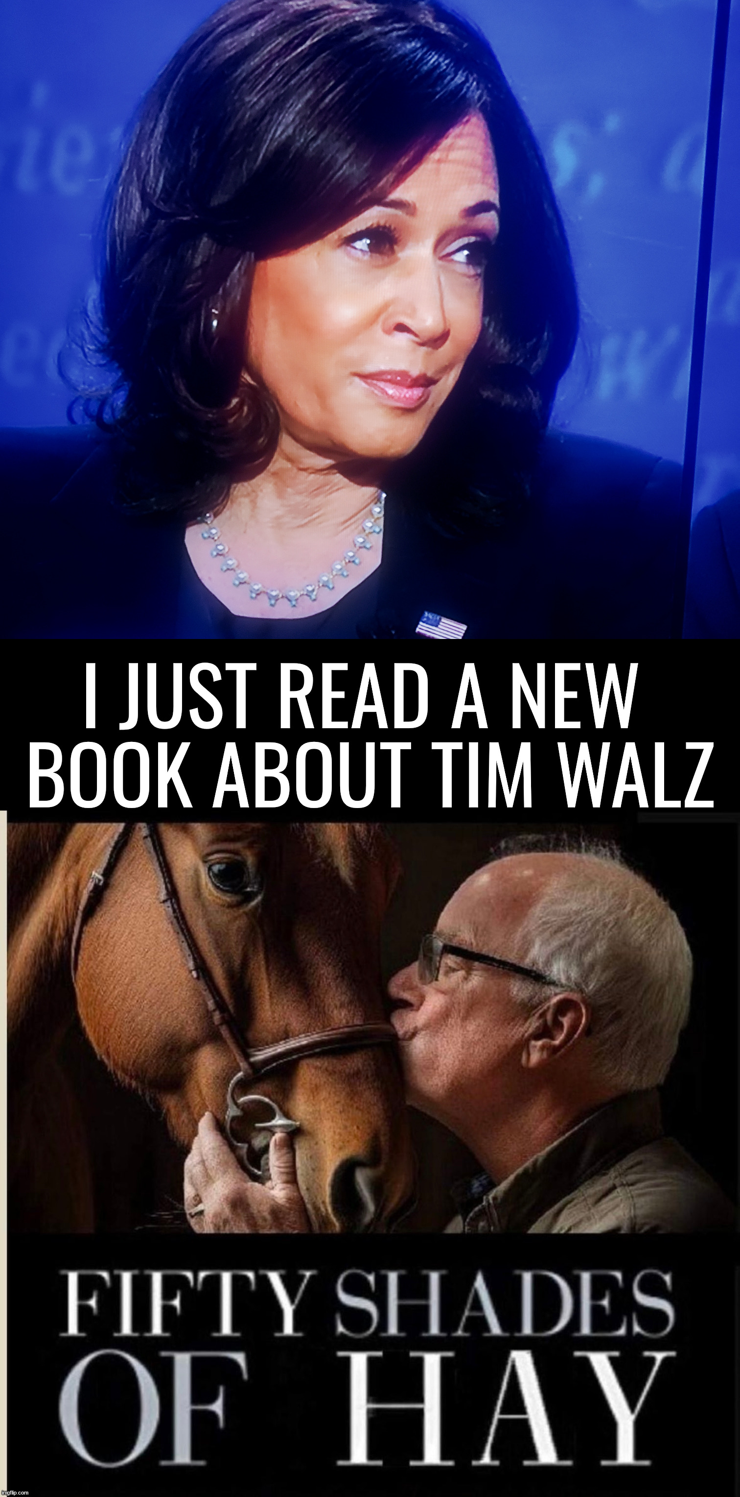 Love is love, right? | I JUST READ A NEW 
BOOK ABOUT TIM WALZ | image tagged in kamala harris,tim walz,horses | made w/ Imgflip meme maker