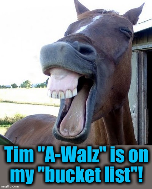 horse laugh | Tim "A-Walz" is on
my "bucket list"! | image tagged in horse laugh,memes,tim walz,democrats,bucket list | made w/ Imgflip meme maker