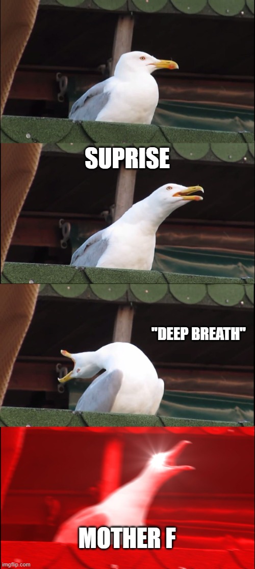 look dude idk why i made this ok | SUPRISE; "DEEP BREATH"; MOTHER F | image tagged in memes,inhaling seagull | made w/ Imgflip meme maker