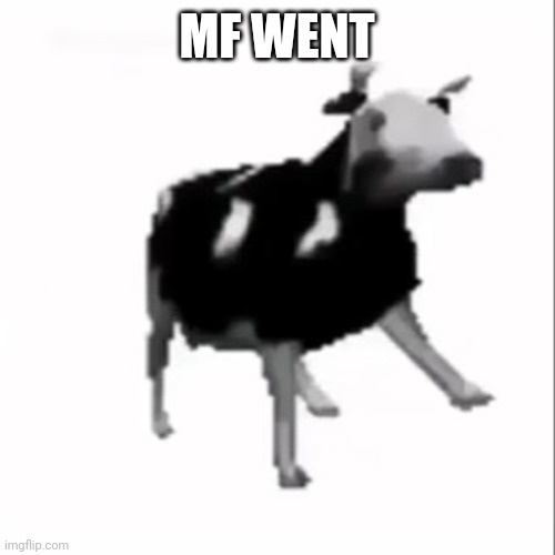 dancing polish cow | MF WENT | image tagged in dancing polish cow | made w/ Imgflip meme maker