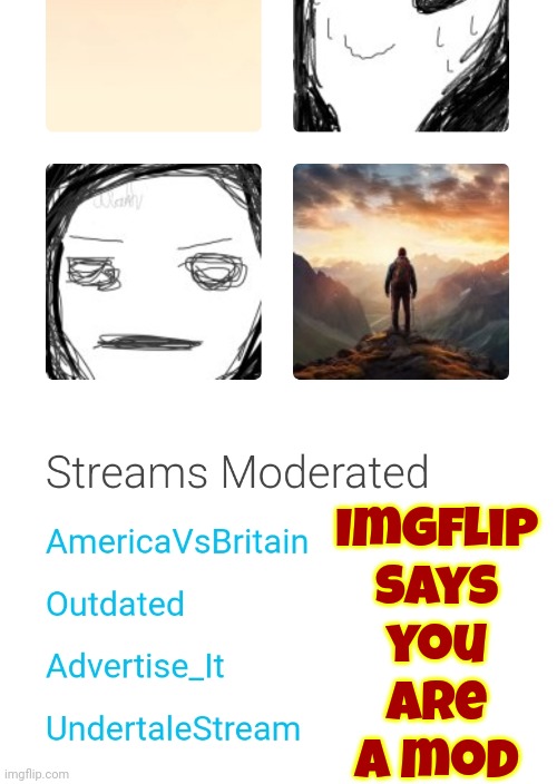 Imgflip says you are a mod | made w/ Imgflip meme maker