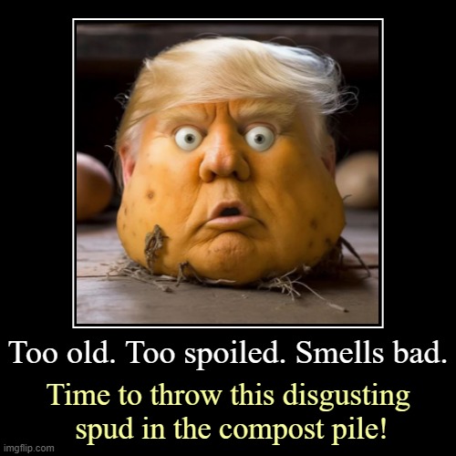 This spud's a dud since Kamala Harris arrived! | Too old. Too spoiled. Smells bad. | Time to throw this disgusting
 spud in the compost pile! | image tagged in funny,demotivationals,donald trump,old,spoiled,mr potato head | made w/ Imgflip demotivational maker