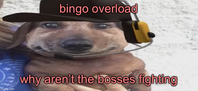 chucklenuts | bingo overload; why aren’t the bosses fighting | image tagged in chucklenuts | made w/ Imgflip meme maker