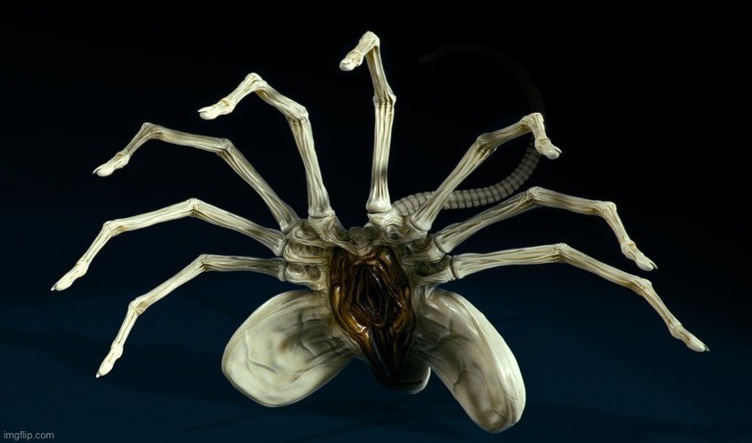 Facehugger - Alien | image tagged in facehugger - alien | made w/ Imgflip meme maker