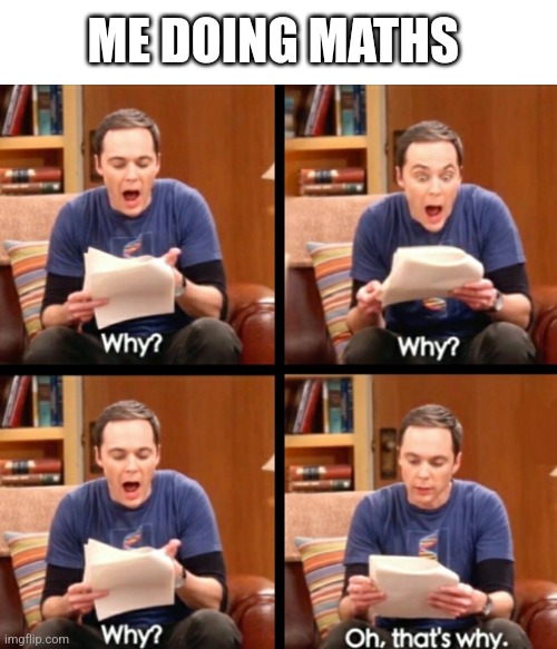 Why, why, why, Oh that's why | ME DOING MATHS | image tagged in why why why oh that's why | made w/ Imgflip meme maker