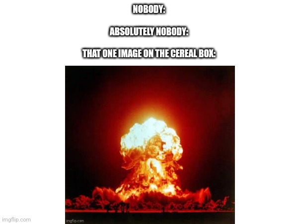 Cereal boxes be like | NOBODY:
    
ABSOLUTELY NOBODY:

    
THAT ONE IMAGE ON THE CEREAL BOX: | image tagged in cereal,food,funny,funny memes,relatable,relatable memes | made w/ Imgflip meme maker