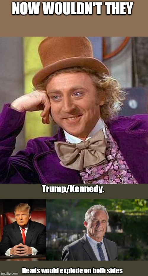 How to start a real third party lets call it The MAGA party, sorry about the heads would explode, i wasn't thinking. | NOW WOULDN'T THEY | image tagged in memes,creepy condescending wonka | made w/ Imgflip meme maker