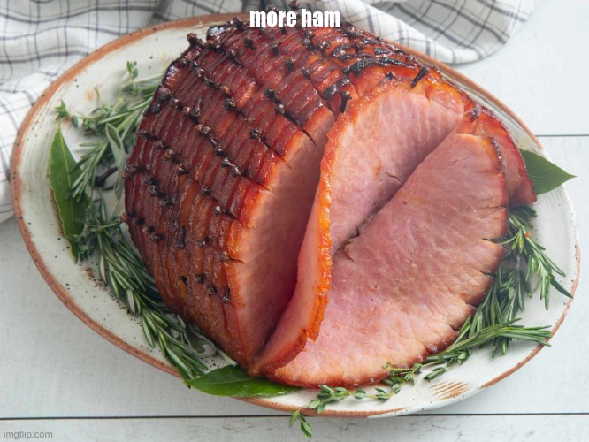 ham | more ham | image tagged in ham | made w/ Imgflip meme maker