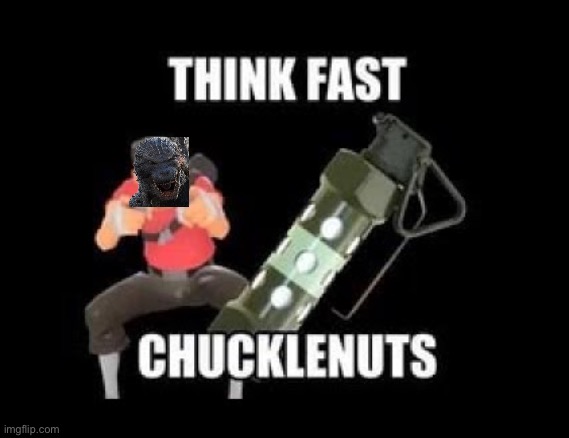 THINK FAST CHUCKLENUTS | image tagged in think fast chucklenuts | made w/ Imgflip meme maker