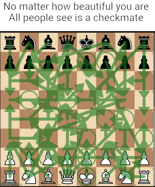 Chess Player Be Like | No matter how beautiful you are 
All people see is a checkmate | image tagged in chess player be like | made w/ Imgflip meme maker