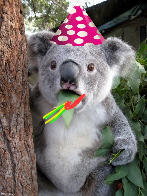 Surprised Koala Meme | image tagged in memes,surprised koala | made w/ Imgflip meme maker