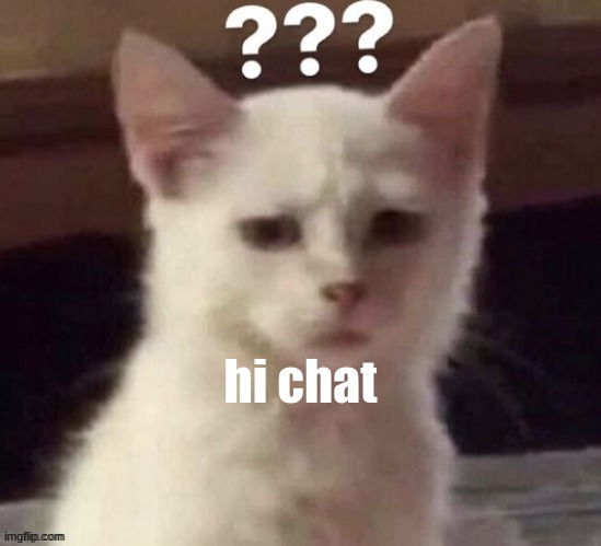 ? | hi chat | made w/ Imgflip meme maker