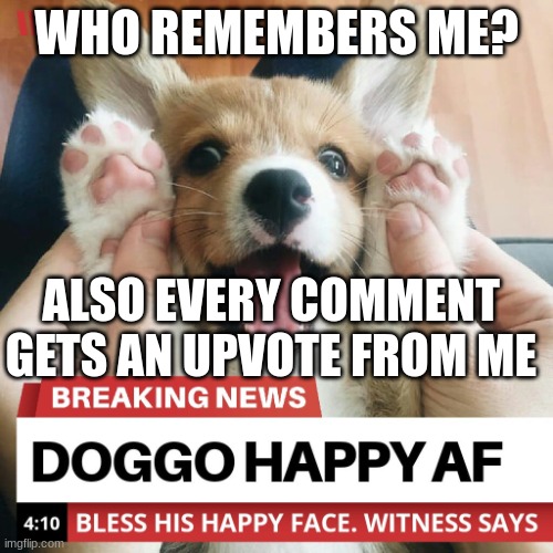 doggo | WHO REMEMBERS ME? ALSO EVERY COMMENT GETS AN UPVOTE FROM ME | image tagged in doggo | made w/ Imgflip meme maker