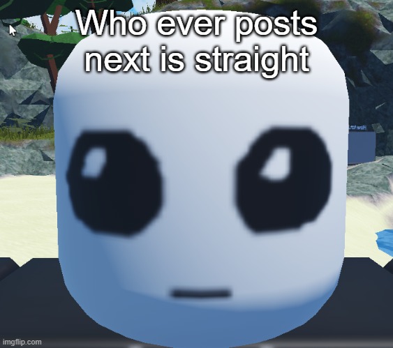 TBH creature Roblox | Who ever posts next is straight | image tagged in tbh creature roblox | made w/ Imgflip meme maker