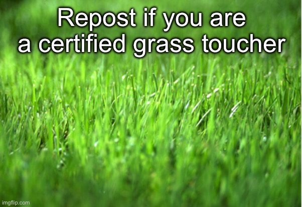 . | Repost if you are a certified grass toucher | image tagged in grass is greener | made w/ Imgflip meme maker