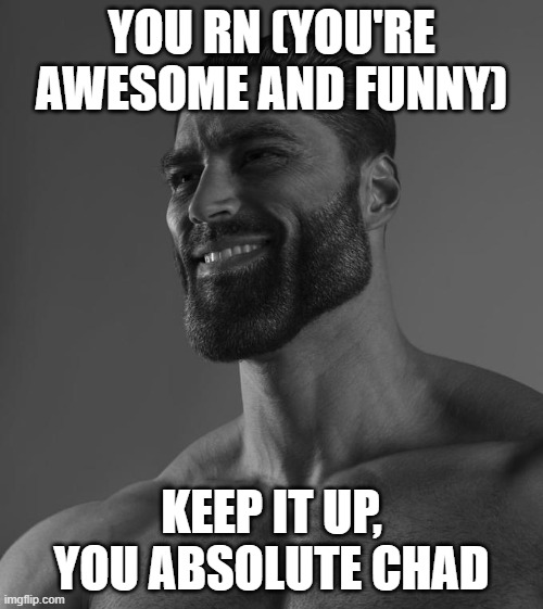 have a good day :3 | YOU RN (YOU'RE AWESOME AND FUNNY); KEEP IT UP, YOU ABSOLUTE CHAD | image tagged in sigma male | made w/ Imgflip meme maker