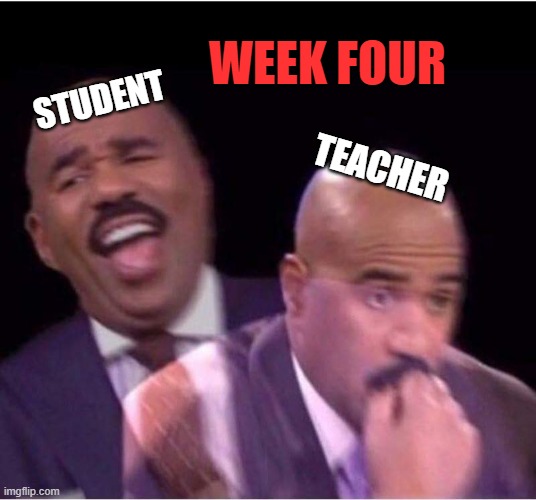 Worried Steve Harvey Meme | WEEK FOUR; STUDENT; TEACHER | image tagged in worried steve harvey meme | made w/ Imgflip meme maker