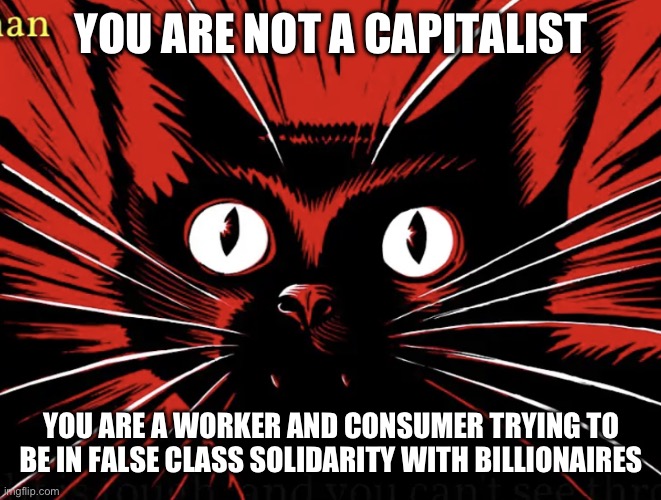 YOU ARENT A CAPITALIST | YOU ARE NOT A CAPITALIST; YOU ARE A WORKER AND CONSUMER TRYING TO BE IN FALSE CLASS SOLIDARITY WITH BILLIONAIRES | image tagged in sabo tabby,capitalism,communist,communism,leftist | made w/ Imgflip meme maker