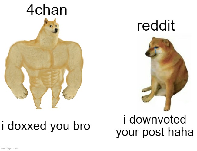 Buff Doge vs. Cheems | 4chan; reddit; i doxxed you bro; i downvoted your post haha | image tagged in memes,buff doge vs cheems | made w/ Imgflip meme maker