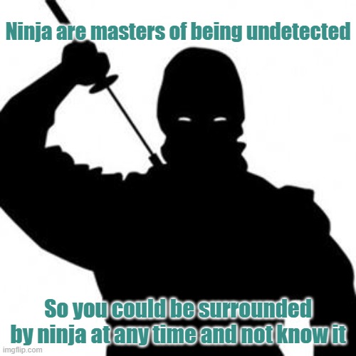 Ninja | Ninja are masters of being undetected; So you could be surrounded by ninja at any time and not know it | image tagged in ninja | made w/ Imgflip meme maker